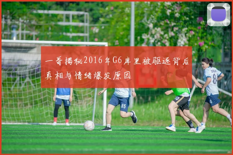 一哥揭秘2016年G6库里被驱逐背后真相与情绪爆发原因